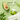 FRUDIA Blueberry Hydrating Intensive Cream 55g