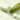 FRUDIA Avocado Relief Essence Toner 195g