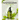 be the skin Botanical Nutrition Serum 50ml