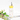 CELLBN Shake Shake Mist Serum 155ml