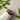 SKINFOOD Pantothenic Water Parsley Mild Foam 150ml