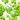 FRUDIA Green Grape Pore Control Cream 55g