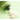 Dr.G Green Deep Foaming Scrub 120g