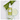 KIM JEONG MOON Aloe Cure Phyto Green Ampoule S 50ml
