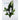 3DAMO Natural Nutrition Hair Tonic 60ml