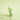 Ongredients AC Balancing Serum 50ml