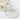 NEOGEN Dermalogy Real Peptide Serum 30ml
