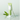 ONE THING Cica B5 Cream 70ml