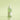 Ongredients AC Balancing Serum 50ml