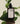 ONE THING Houttuynia Cordata Serum 80ml