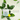 DMCK Tea Tree Ac Cream 250g