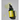 DR. ORGA Pure Tamanu Light Oil 30ml
