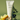 AROMATICA Circulating Massage Cream Juniper Berry & Lemon 100ml