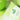 Ariul Apple Cider pH Balancing Cleansing Foam 150ml