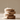 CNP Laboratory Propolis Ampoule in Matte Cushion 15g