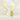 CNP Laboratory Propolis Derma Moisture Lip Balm 4g