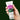 CKD Retino Collagen Small Molecule 300 Guasha Lifting Serum 40ml