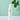 Dr.oracle 21:Stay A-Thera Toner 120ml