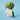 FOODOLOGY Mindful Artichoke 10 Packs