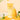 HAIR+ Protein Bond Ampoule Pear & Freesia Edition 100ml