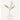 HAIR+ Protein Bond Ampoule Woody Blanche Edition 100ml
