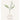 HAIR+ Protein Bond Water Essence Woody Blanche Edition 120ml