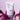Isntree Onion Newpair Sunscreen SPF40 PA+++ 50ml