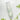 LAVIEN Perfect Balance Moisture Cleansing Milk 150ml