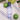 LOiViE Bergamot & White Rose Perfumed Mist 120ml