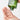 MEDIHEAL Tea Tree Calming Moisture Toner 350ml
