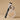 PICCASSO FB11 Spatula Brush