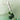SKIN1004 Madagascar Centella Tea-Trica Spot Cream 20ml