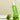 SUNGBOON EDITOR Green Tomato Double Cleansing Ampoule Oil 200g