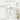 THE FACE SHOP White Seed Brightening Lotion 145ml