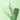 Veganifect Clean and Glow Green Barley First Essence 200ml
