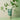 FRUDIA Re:proust Essential Blending Body Lotion - Greenery 200ml