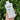 PHYSIOGEL Daily Moisture Therapy Essence In Toner 200ml