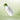 beplain Mung Bean Pore Tight-Up Serum 30ml