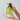essenherb Tea Tree Acne Daily Wash 500ml