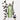 essenherb Tea Tree Balancing In Calming Toner 200ml