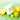 omitted Fresh Lime Dewy & Pore Purifying Toner Pad 160ml (70pads)