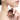 onoma Wonder Tomorrow Time Reading Recovery Serum 35ml