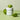 SUNGBOON EDITOR Green Tomato Pore Peeling Jumbo Pad 180ml (60pcs)