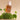 slowpure Pore Peel Serum 50ml