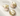 THE WHOO Gongjinhyang Mi Two Way Pact 13g SPF30