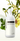 Wish Formula Black Head Out Source 1000ml
