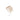 JAVIN DE SEOUL Wink Eye Shimmer Light 6g [11 Types] - CUTIPOP