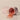 Avajar Perfect Lifting Daily Eye Patch 90P - CUTIPOP