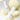 IOPE Retinol Super Bounce Serum 50ml - CUTIPOP
