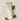 HANYUL Natural Hand Cream 50ml [4 Types] - CUTIPOP